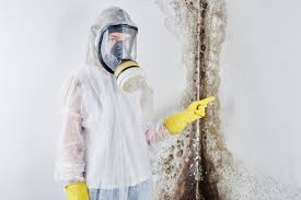 Hunter, TN Mold Remediation Company